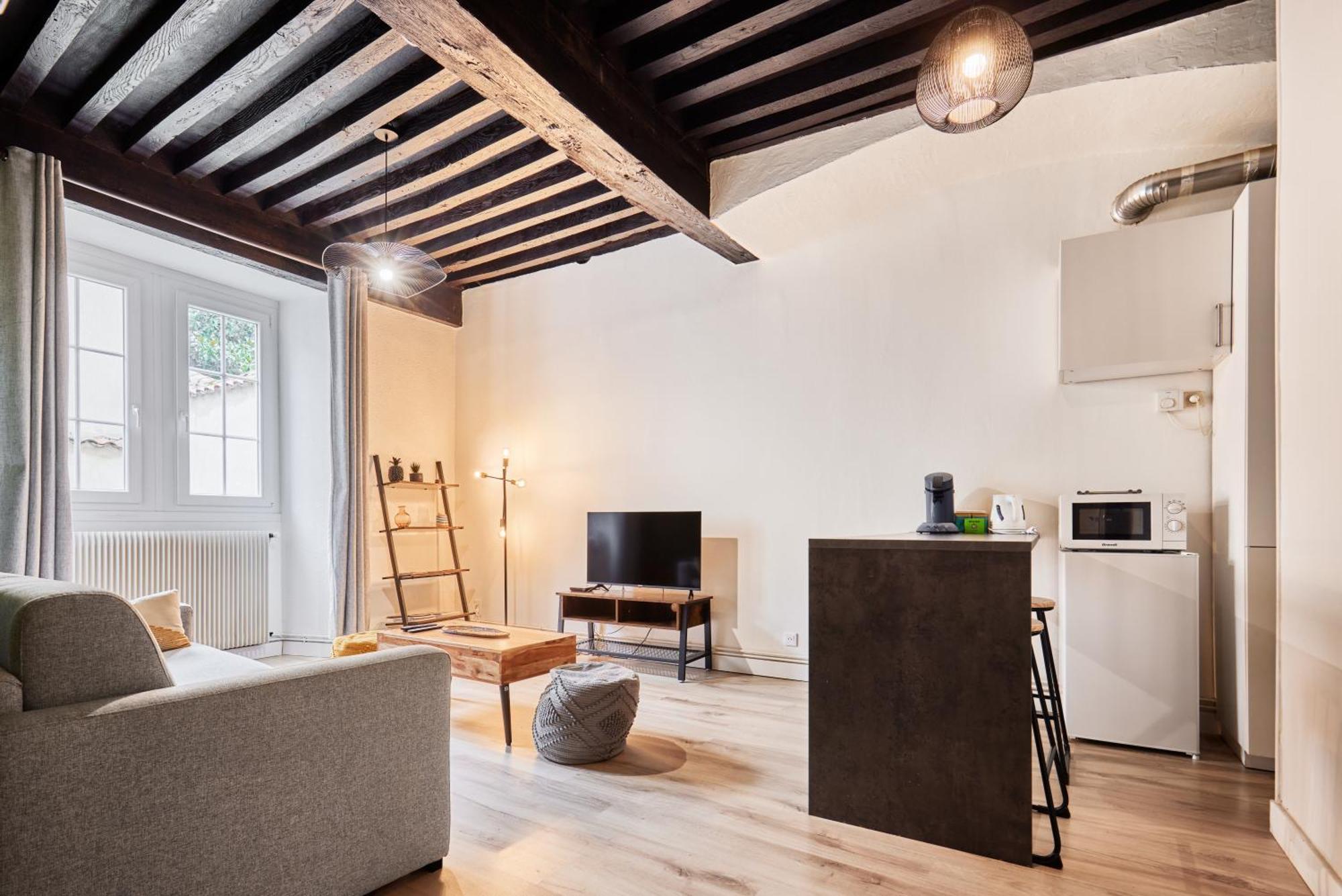 L'Authentique Bressan Apartment Bourg-en-Bresse Ngoại thất bức ảnh